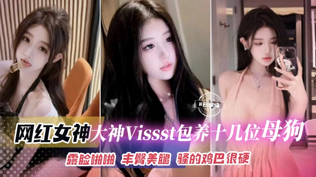 网红女神-大神VIssst包养十几位反差婊母狗网红空姐老师一网打尽，露脸啪啪丰臀美腿骚得鸡巴很硬